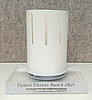 1. Platz Firmen Fitness Award 2021 Trophäe Firmen Fitness Award 2021